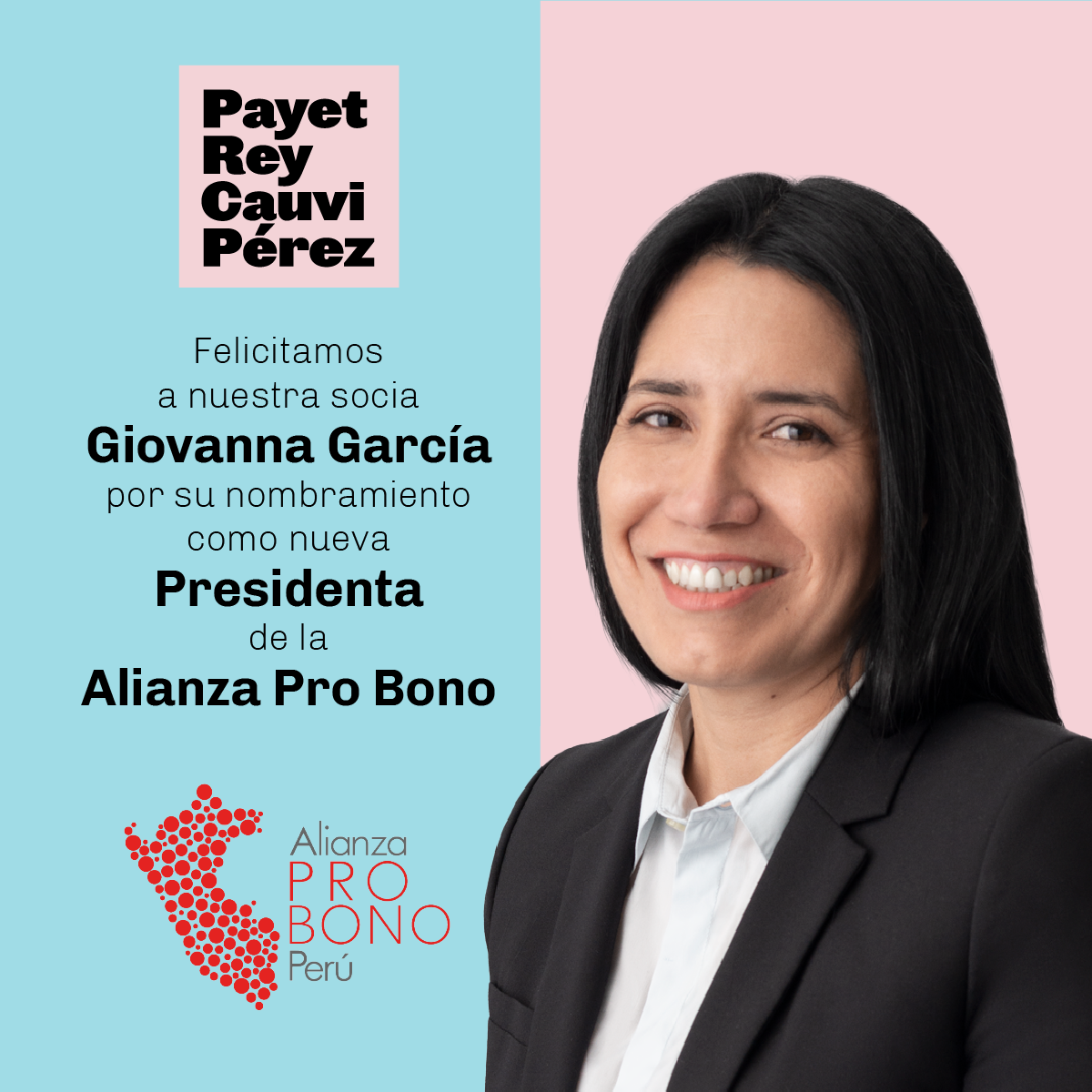 GGS-DIRECTORA-PROBONO2