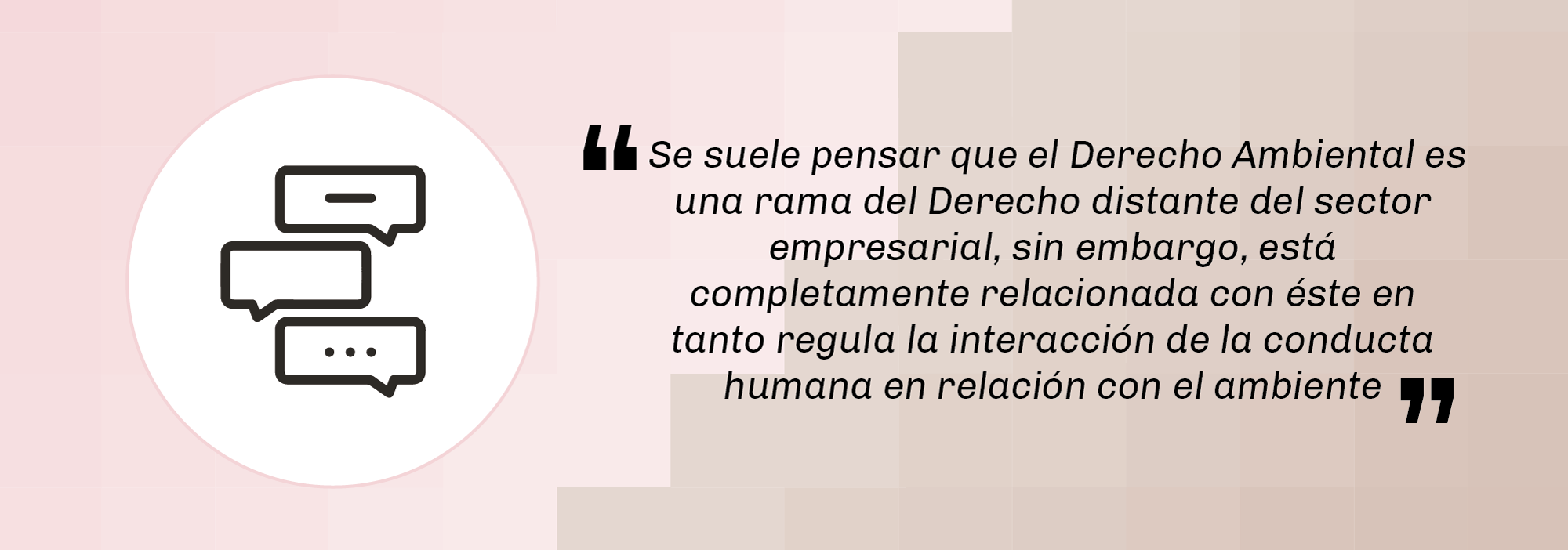 entrevista-conexion-ambientla